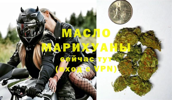 молекула духа Богородицк