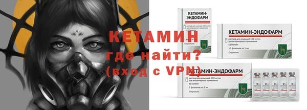 молекула духа Богородицк