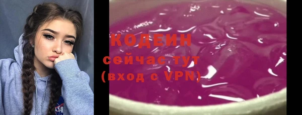 шишки Белоозёрский