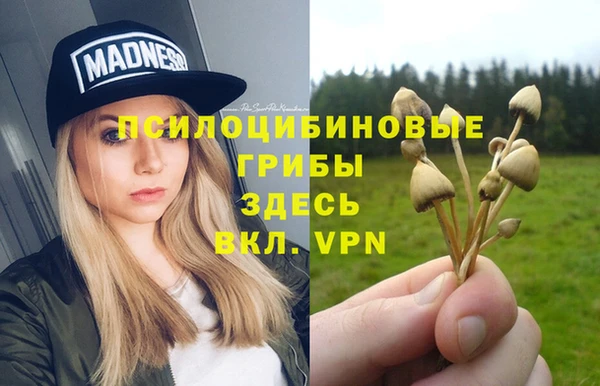 кокаин премиум Богданович