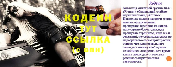 молекула духа Богородицк
