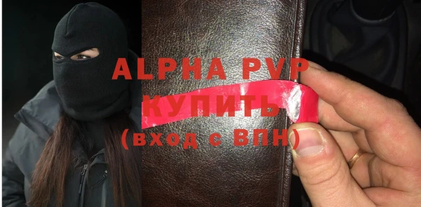 шишки Белоозёрский