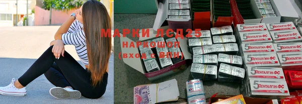 молекула духа Богородицк