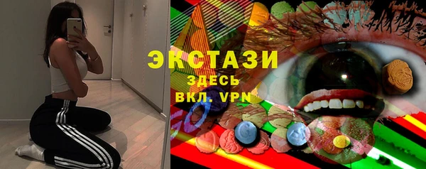 молекула духа Богородицк