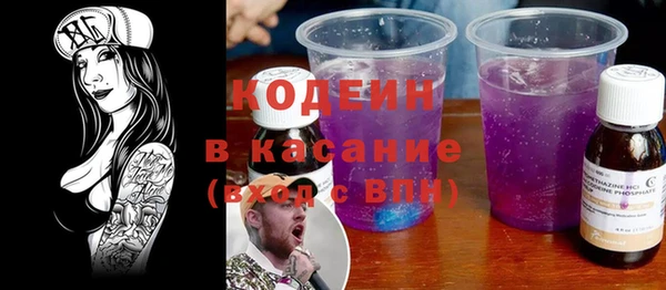 молекула духа Богородицк