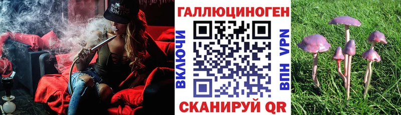 Купить где  Макарьев  Псилоцибиновые грибы Magic Shrooms 